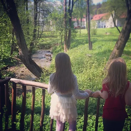 Zamek W Dzięgielowie Gospodarstwo agroturystyczne *
