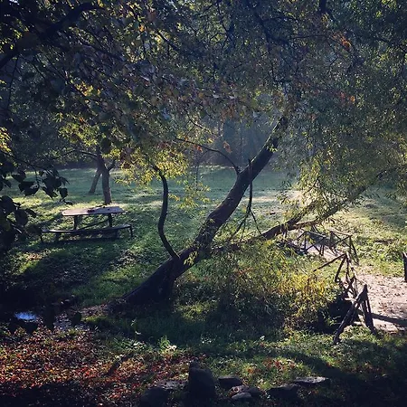 Zamek W Dzięgielowie Gospodarstwo agroturystyczne