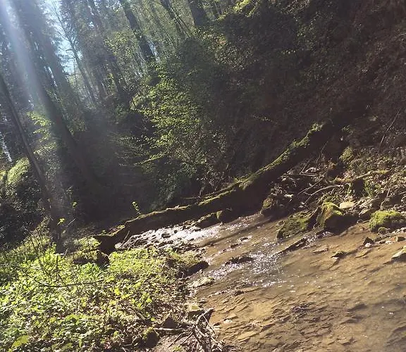 Zamek W Dziegielowie * Dziegielow